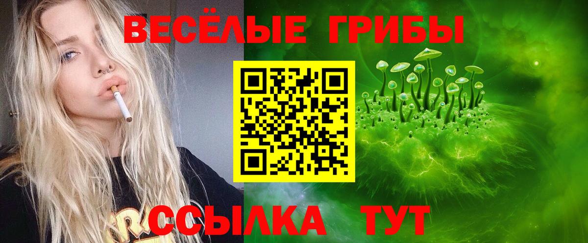 Галлюциногенные грибы ЛСД Кропоткин